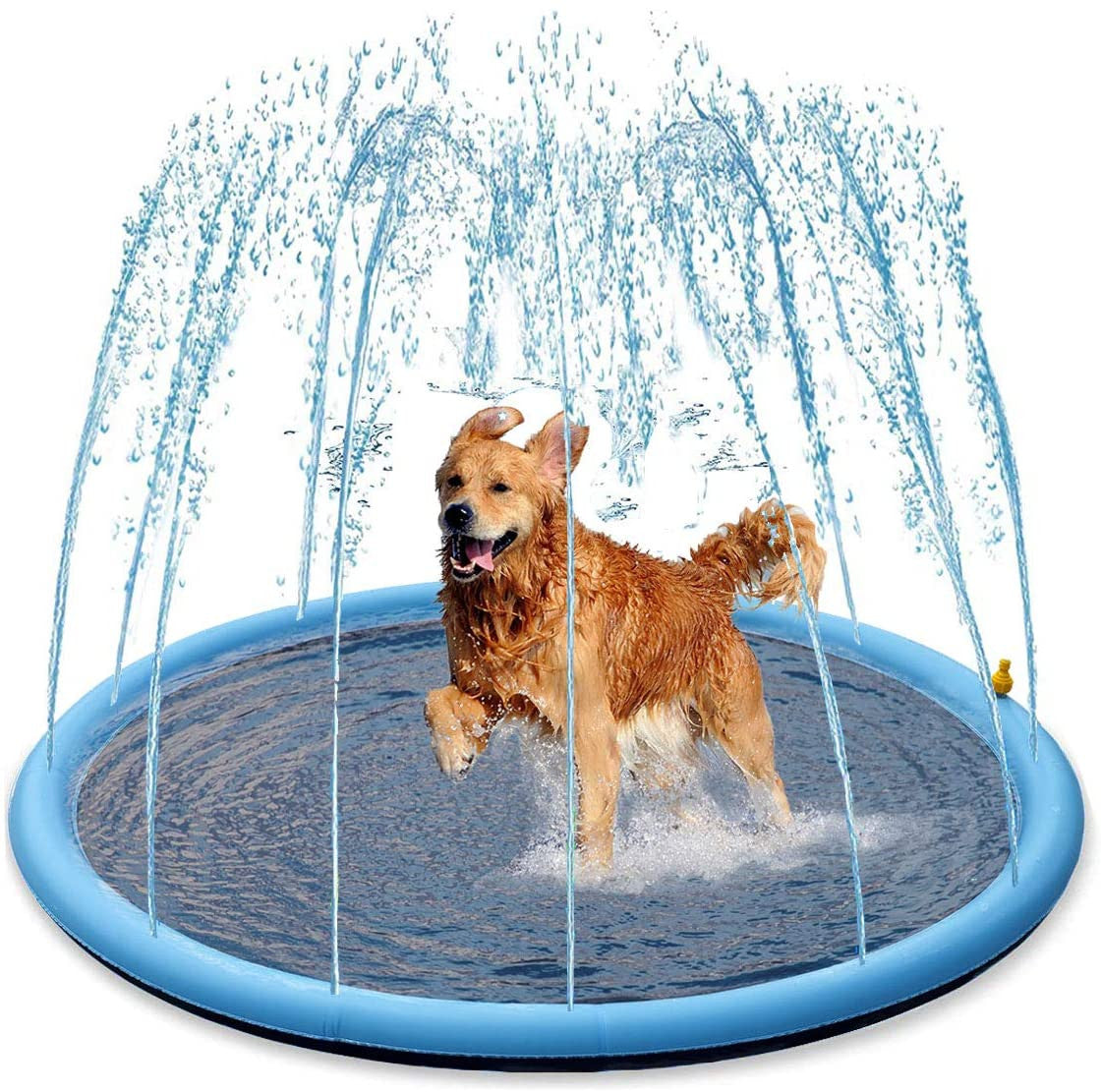 SPLASHY - FAI DIVERTIRE I TUOI BIMBI E I TUOI ANIMALI DOMESTICI!